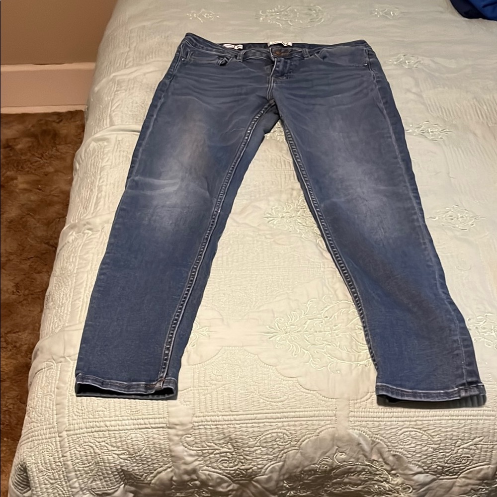 Vigoss Women's Faded Blue Ankle Jeans